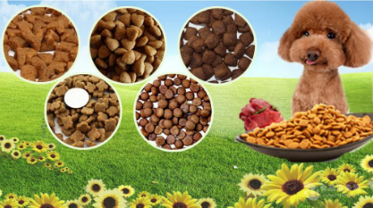 寵物飼料行業解決方案